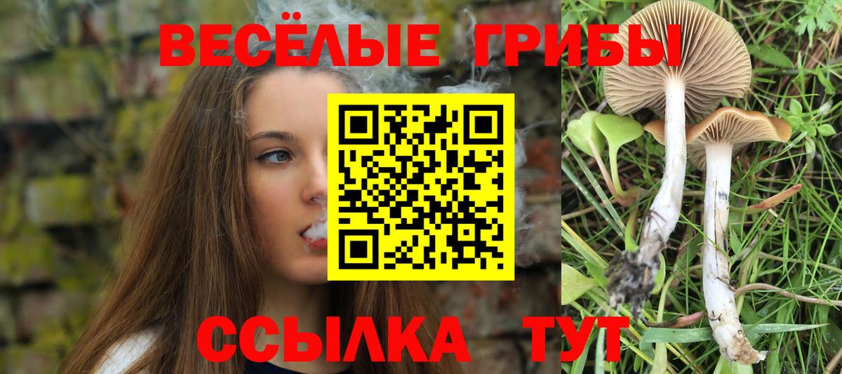 Галлюциногенные грибы мухоморы Нефтекумск