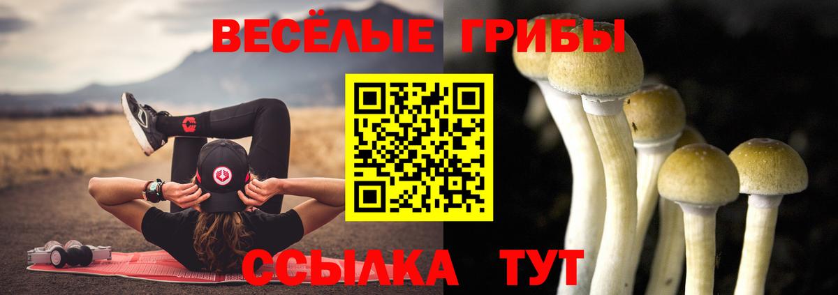 Нефтекумск  Псилоцибиновые грибы Psilocybe  купить  сайты  Вход с VPN 